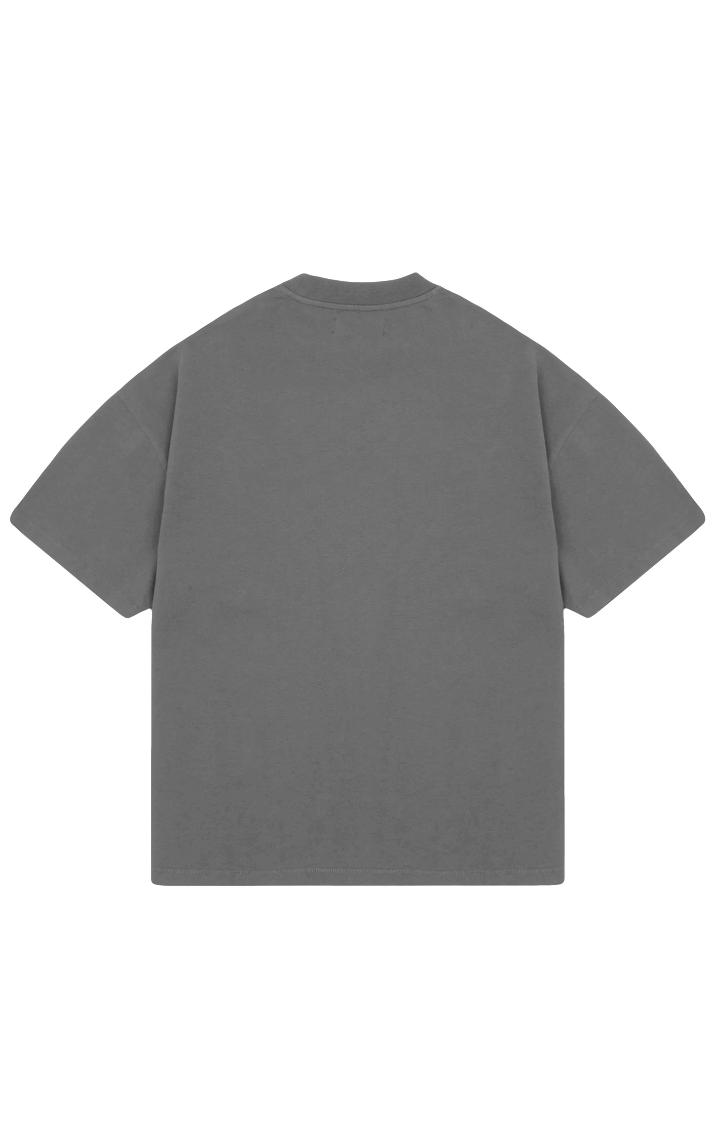 310 GSM OVERSIZE TEE - FOSSIL